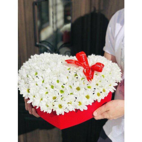 Ромашки / Букет любимой