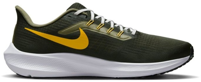 Nike zoom 2025 pegasus 36 gtx