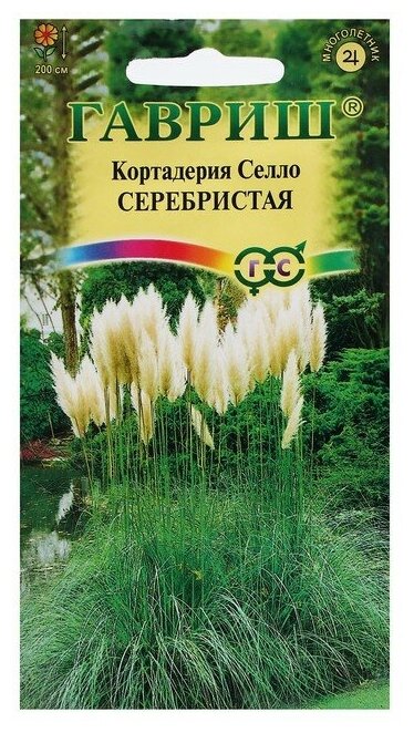 Семена Кортадерия Серебристая (Пампасная трава) 8 шт. / 1 упаковка / Многолетние цветы