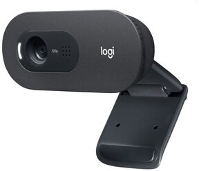 Веб-камера Logitech C505 HD Webcam (960-001364)