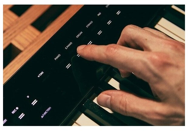 Цифровое фортепиано Casio - фото №9