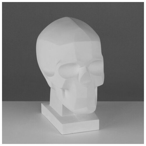 Гипсовая фигура анатомическая: обрубовка черепа по Баммесу, 23,5 х 16 х 27 см мастерская экорше гипсовая фигура анатомическая кисть анатомическая 26 5 х 16 5 х 7 см