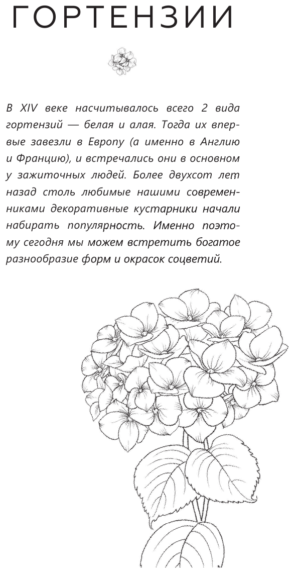 Энциклопедия цветовода (Кочелаева Лариса Николаевна) - фото №6