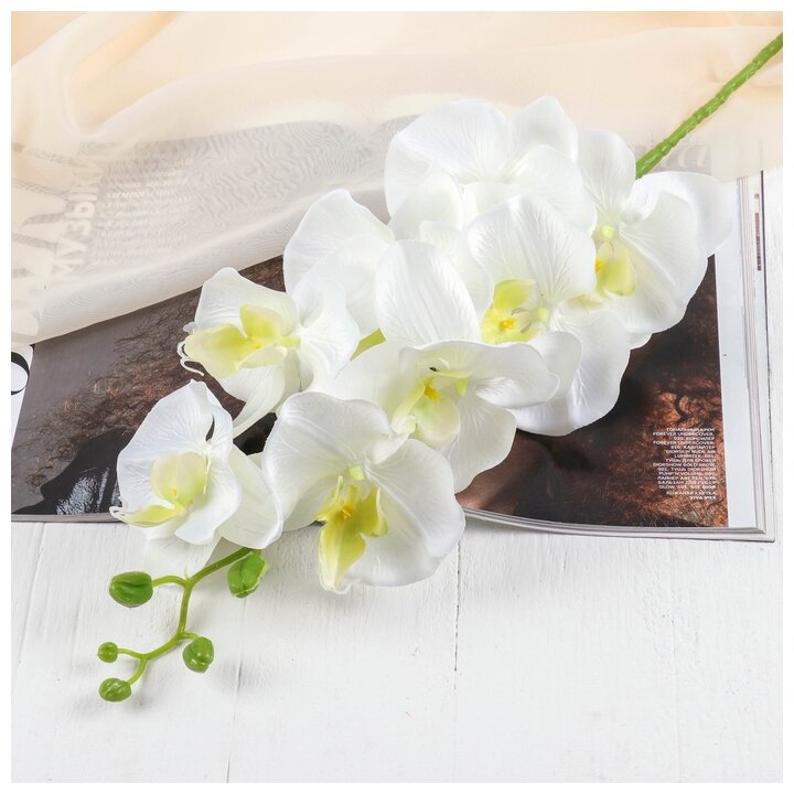 Цветы искусственные "Орхидея Изящная" 10*100 см, белая 2803719