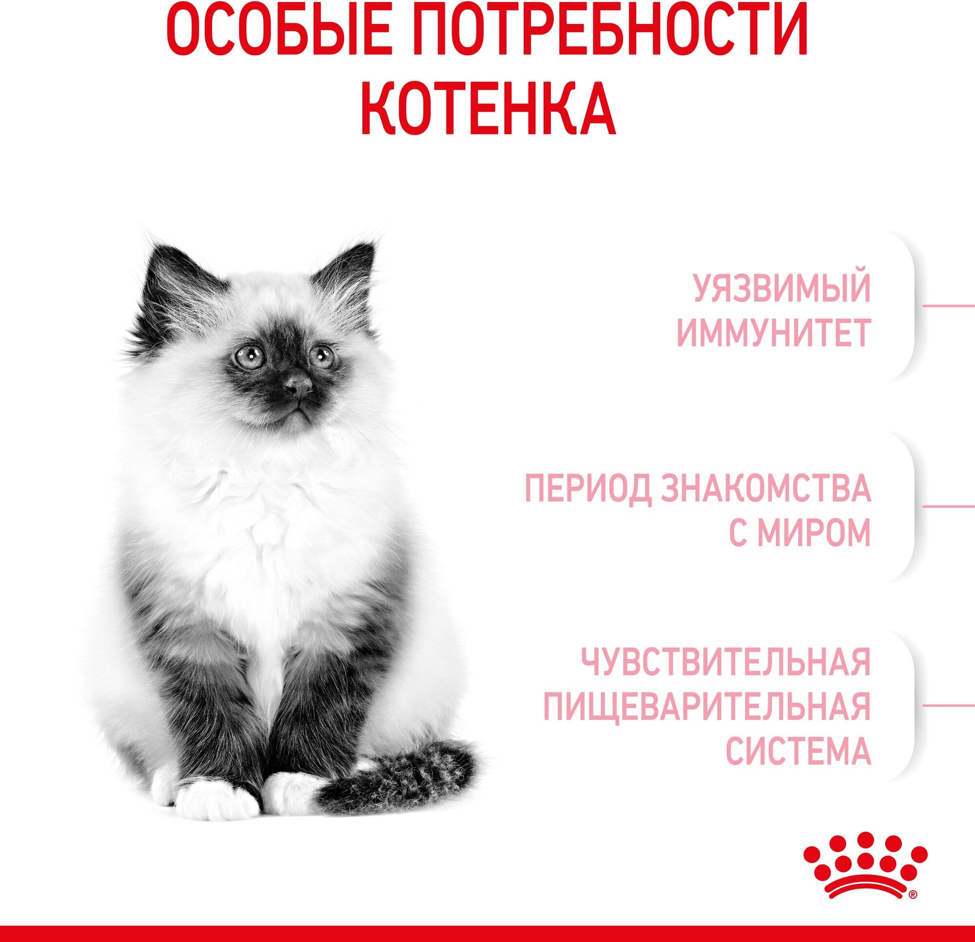 Сухой корм Royal Canin Kitten (Киттен) для котят от 4 до 12 месяцев, 2 кг