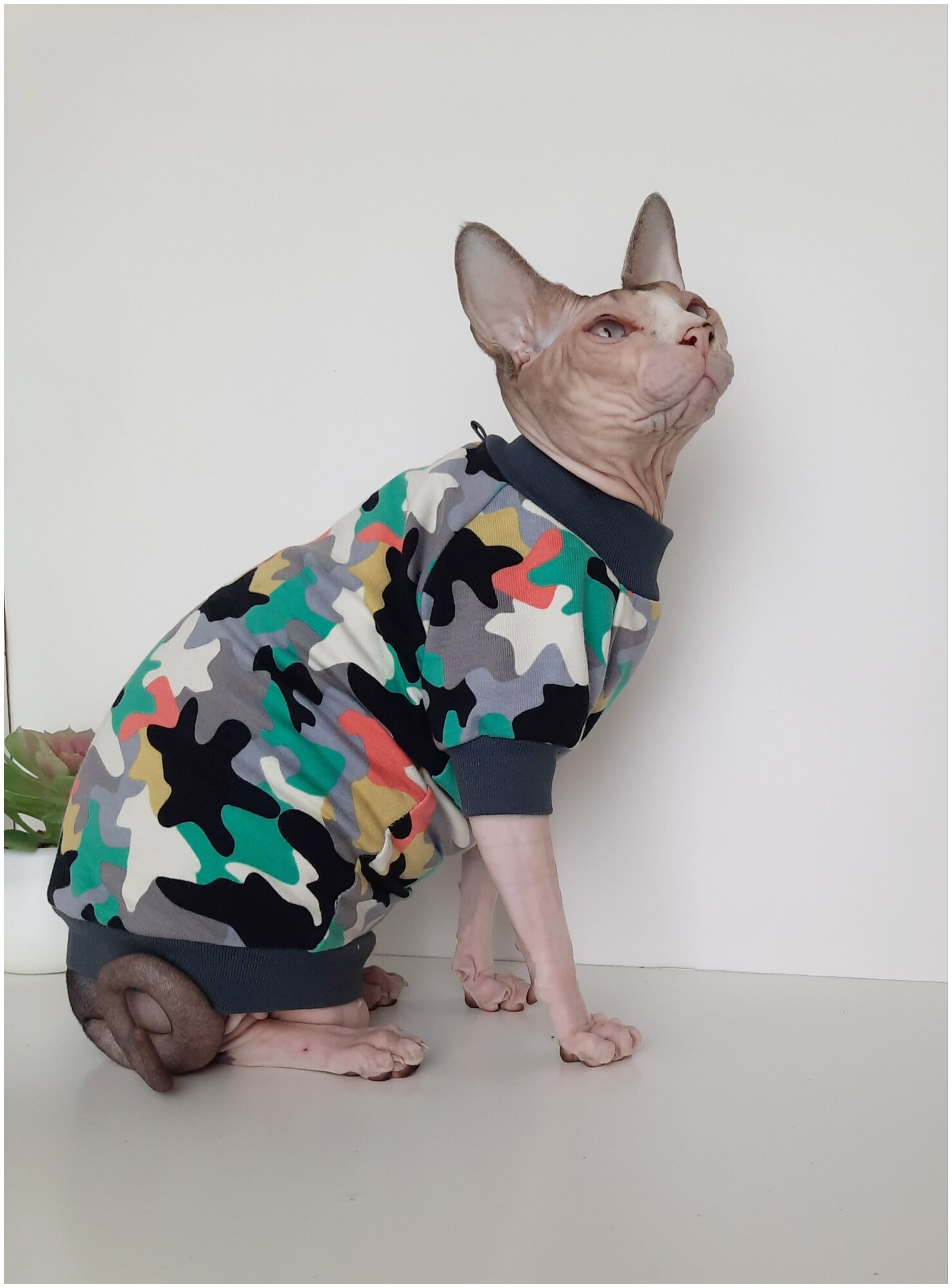 Свитшот для кошек, размер 40 (длина спины 40см), цвет милитари/ толстовка свитшот свитер для кошек сфинкс / одежда для животных - фотография № 3