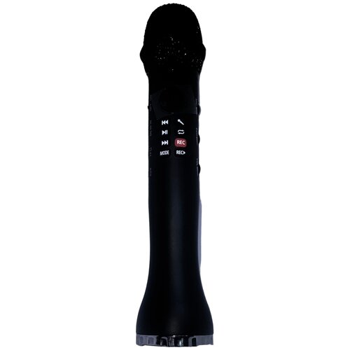 Microphone Speaker 320000₽