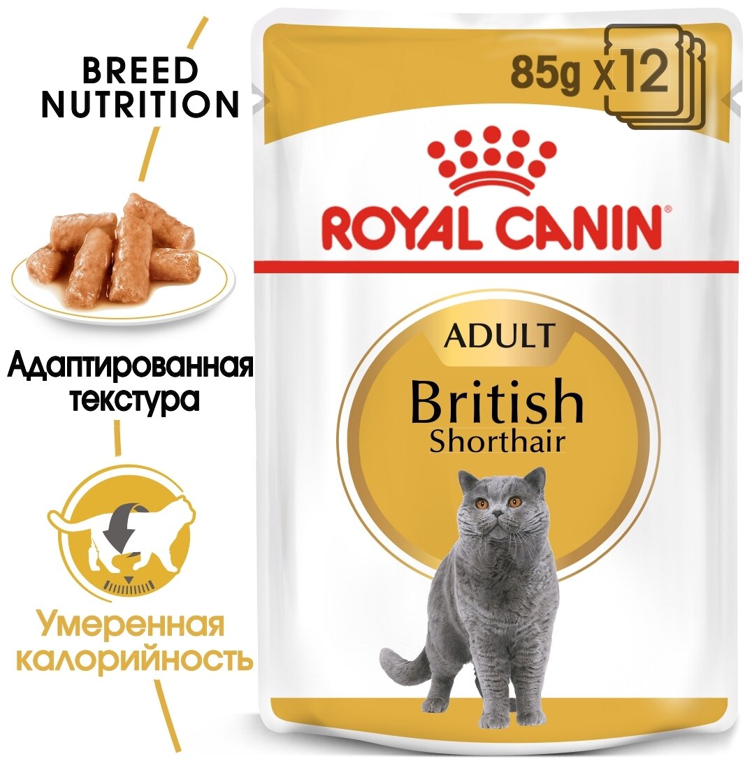 Корм Royal Canin British Shorthair (в соусе) для британских/шотландских пород старше 1 года, 85 г x 12 шт - фотография № 5