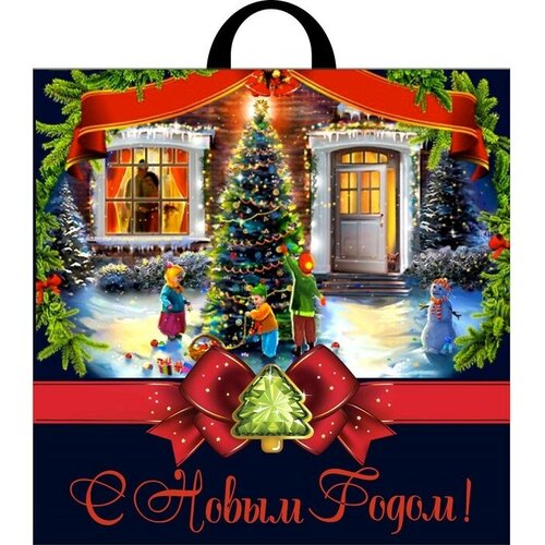 Пакет Зимнее чудо полиэтиленовый с петлевой ручкой 44 х 44 см 70 мкм 25шт 1215₽