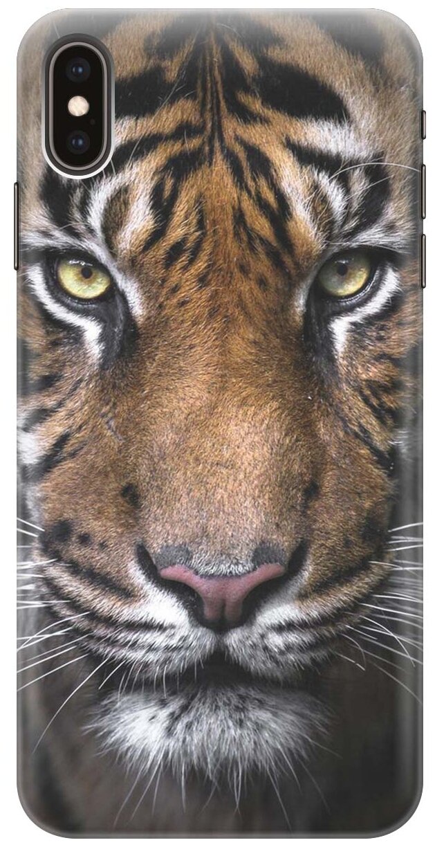 RE:PAЧехол - накладка ArtColor для Apple iPhone XS Max с принтом "Тигр"