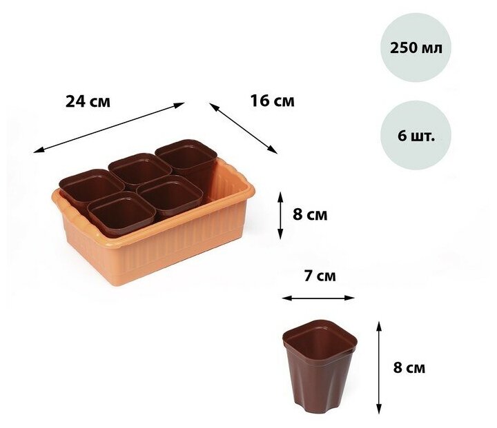 Набор для рассады: стаканы по 250 мл (6 шт.) контейнер 24 × 16 см микс