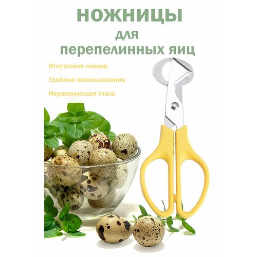 Ножницы кухонные для вскрытия перепелиных яиц