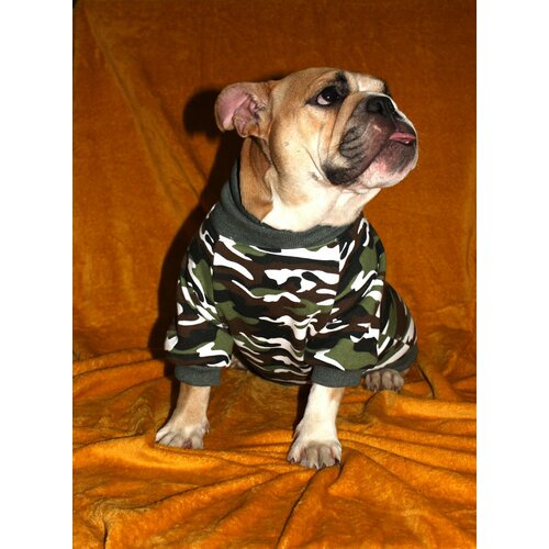 Одежда для собак средних и малых пород, толстовка