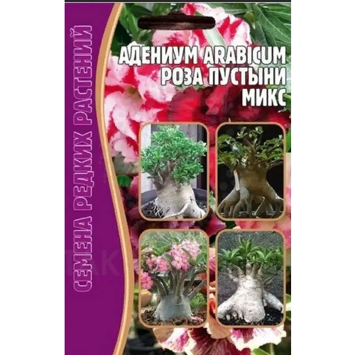 Адениум Arabicum Роза пустыни смесь (1 упаковка * 3 семян) редкие семена