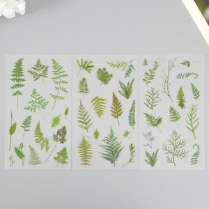 Наклейки пластик "Тропические листья" набор 6 листов 10х18 см