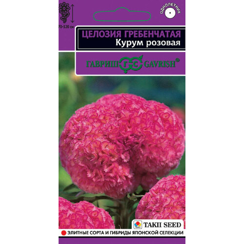 Семена Целозия гребенчатая Курум розовая, 8шт, Гавриш, Takii Seed, 10 пакетиков