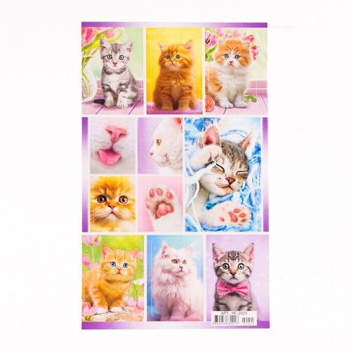 Наклейки Кошки и котята глиттер 16 х 95 см 20 шт 566₽