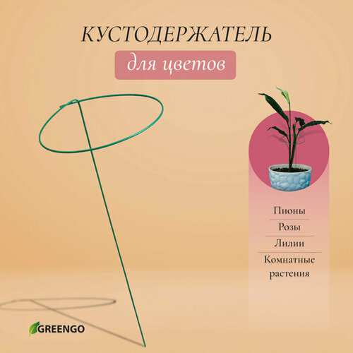 кустодержатель для цветов диаметр 20 см высота 120 см ножка диаметр 1 см металл зелёный Кустодержатель для цветов, d = 30 см, h = 70 см, ножка d = 0.3 см, металл, зелёный, Greengo