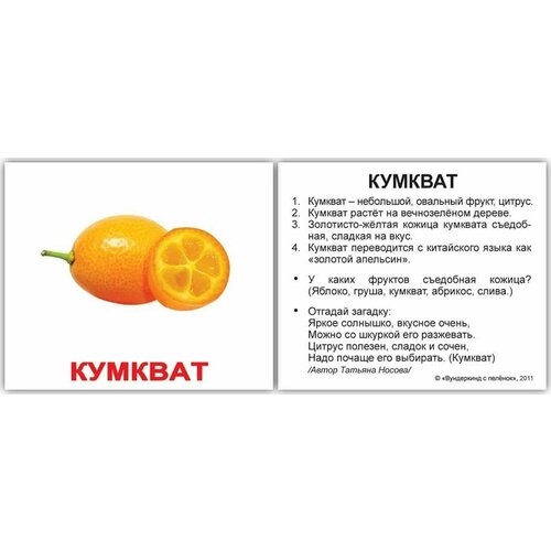 йогурт fruttis сливочное лакомство персик маракуйя ананас дыня 5% 115г Обучающие карточки Домана Вундеркинд с пеленок Мини-40. Фрукты, 40 развивающих двусторонних карточек, 8х10 см