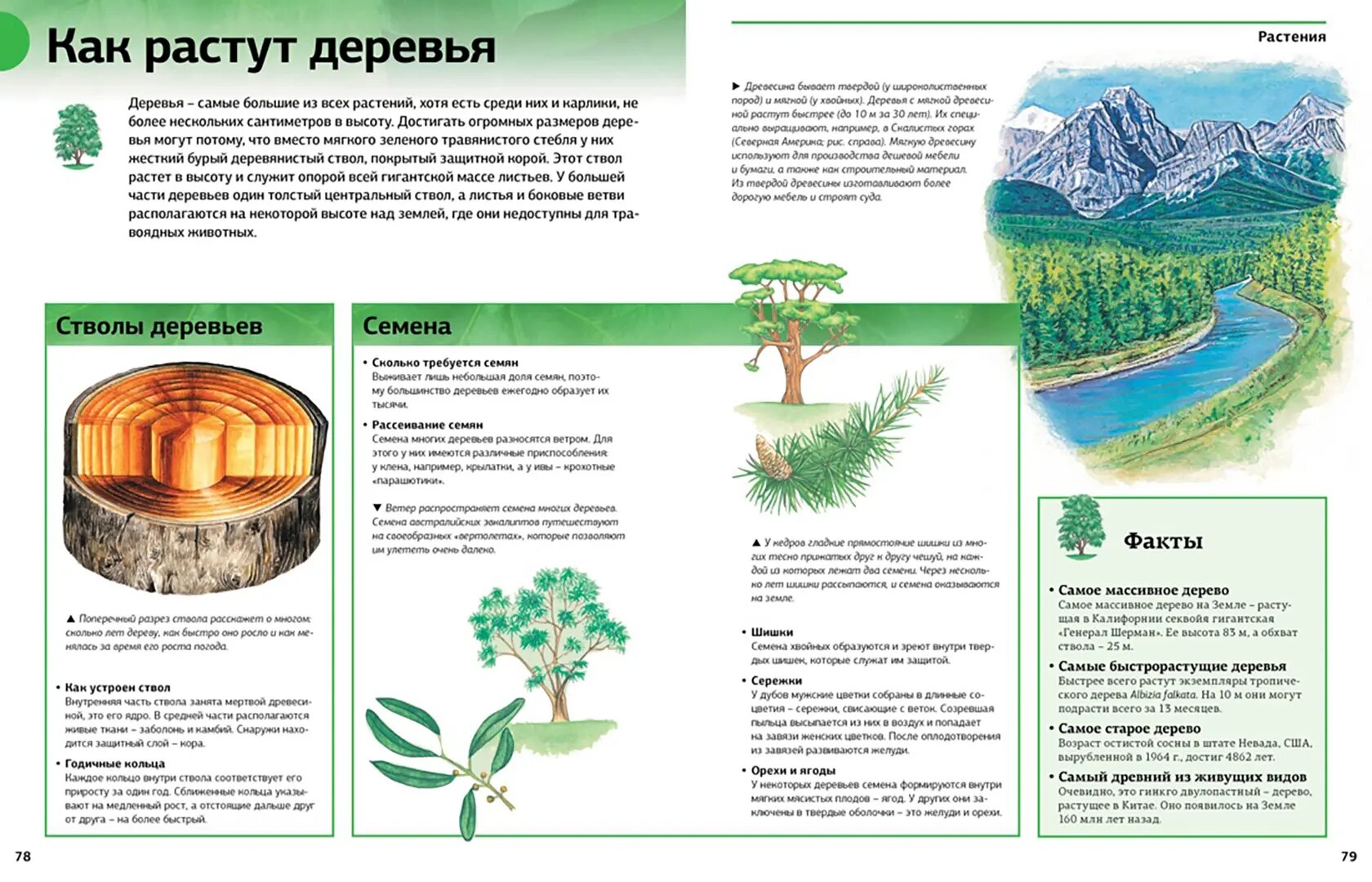 Новая энциклопедия школьника (Дунина Мария (переводчик), Бородина Татьяна (переводчик), Кириллов Арнольд (переводчик)) - фото №7