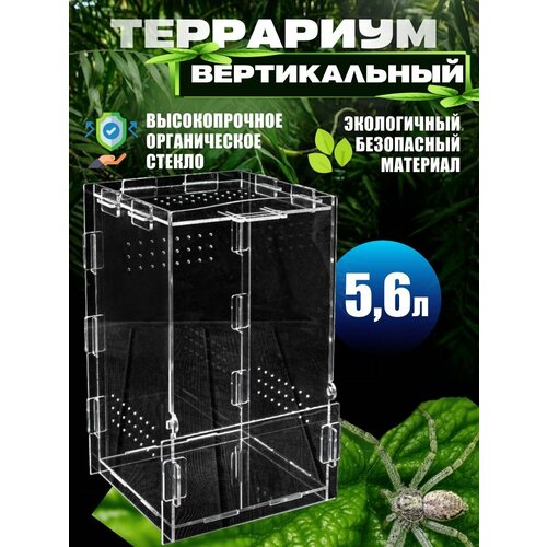 Террариум Для Рептилий 25*15*15