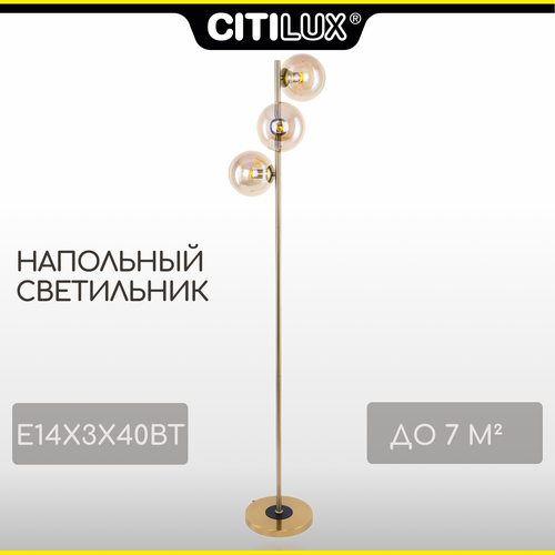 фото Citilux лорен cl146933 торшер бронза