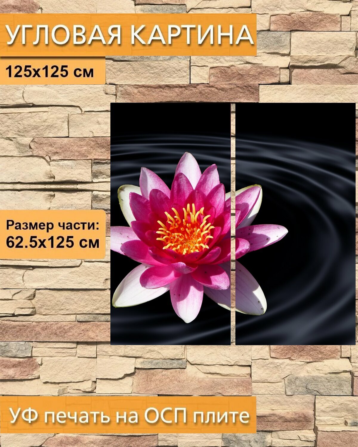 Модульная картина на ОСП "Цветок лотоса, водяная лилия, вода" 125x125 см. 2 части для интерьера на стену
