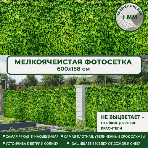 Изображение товара Фотосетка Мечта для забора беседки террасы 600x158 см, "Дикий виноград" , фотофасад для дома дачи сада