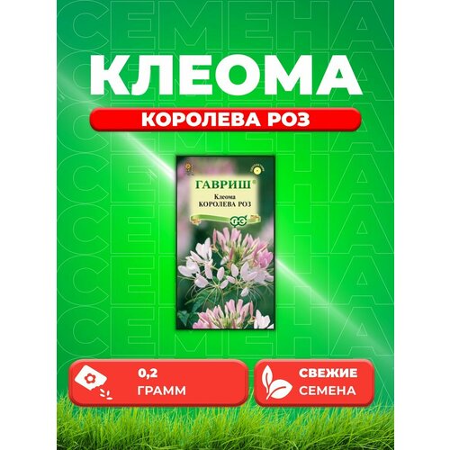 Клеома Королева роз 0,2г, Гавриш, Цветочная коллекция семена клеома королева роз 0 3 г