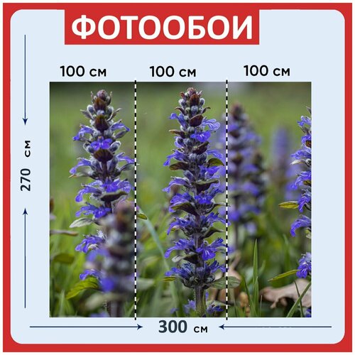 Фотообои Завод фиолетовый цвести 300x270 см флизелиновыена стену 3940₽