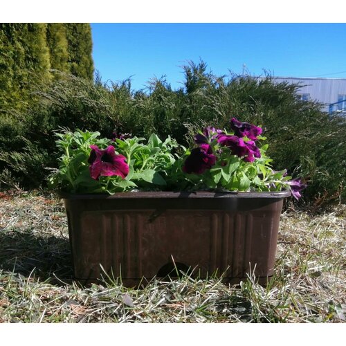 Ящик балконный для цветов пластиковый с нижним поливом 40 см 590₽