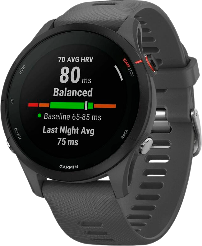 Watch Garmin Forerunner 255 basic Slate Gray 010-02641-10