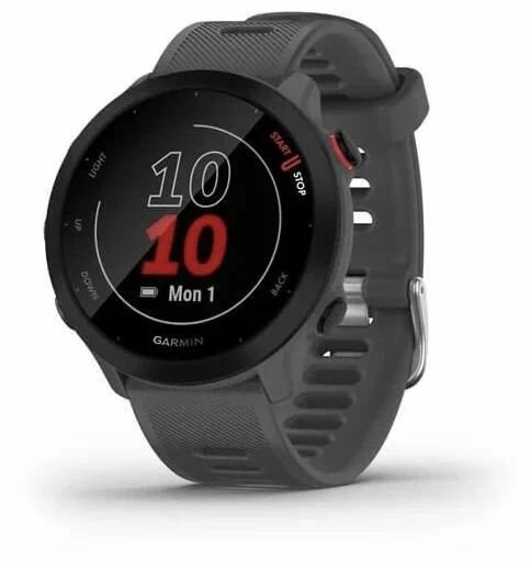 Умные Garmin часы Forerunner 55, серые (010-02562-13)