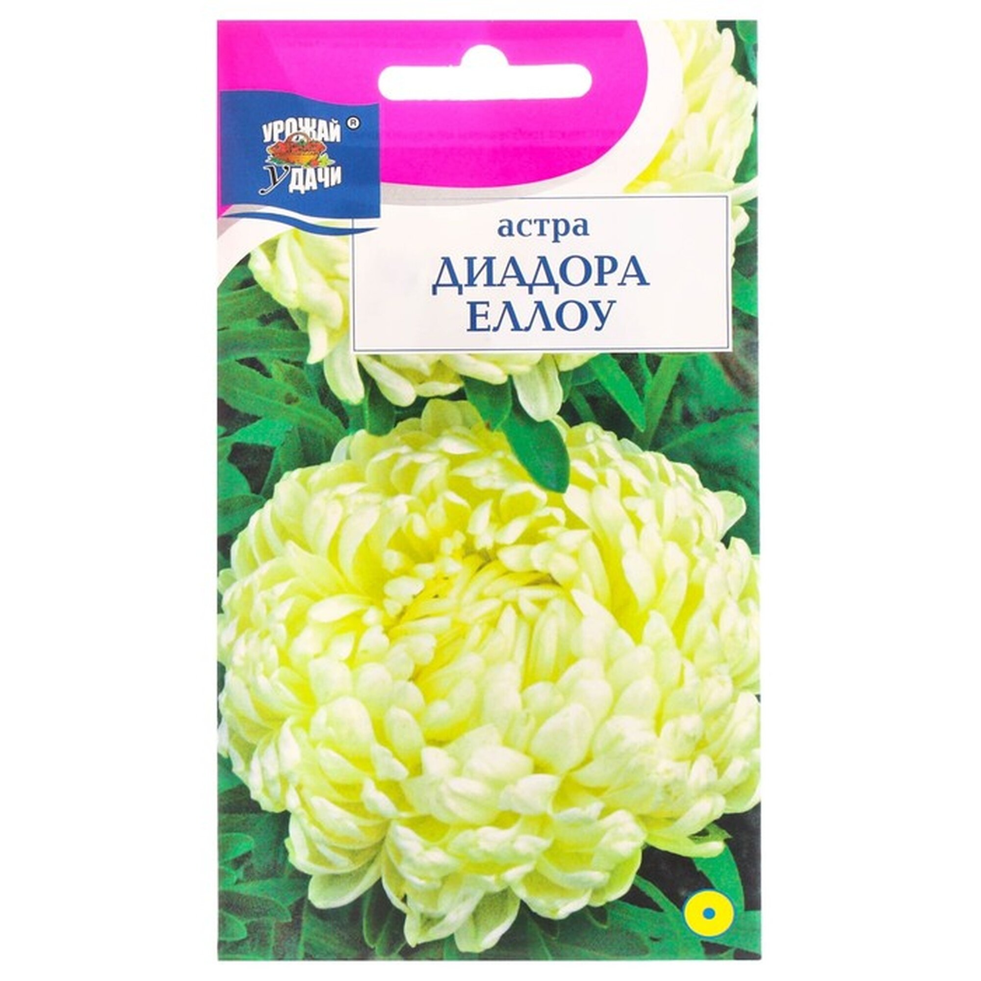 Семена астры Урожай Удачи 