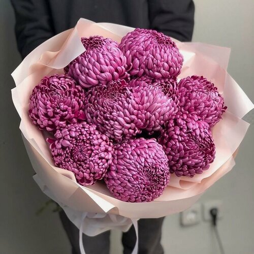 Изображение товара Букет из фиолетовых хризантем 9 шт, красивый букет цветов, шикарный, премиум цветы, премиум букет
