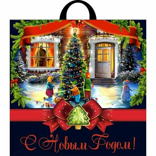 Пакет Зимнее чудо полиэтиленовый с петлевой ручкой 44х44 см 70 мкм 25 шт 2034₽