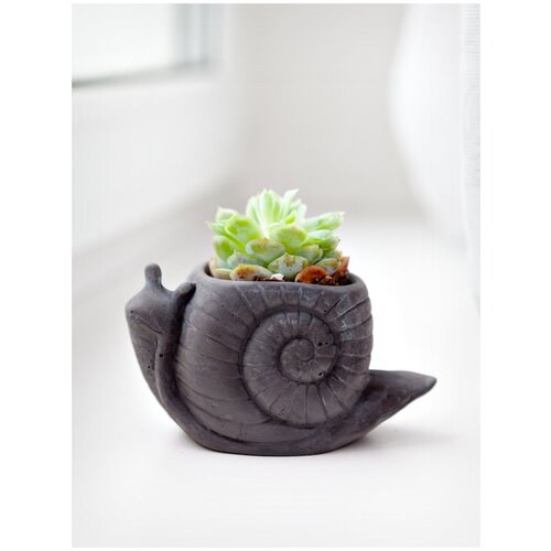 Кашпо из бетона для цветов 