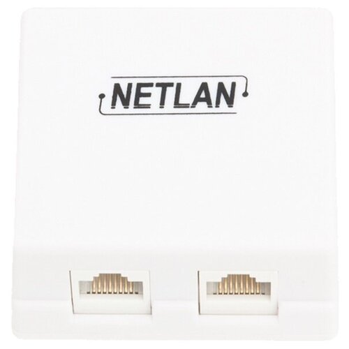 Настенная розетка NETLAN 2 порта, категория 5e, RJ45/8P8C, неэкранированная, белая, EC-UWO-2-UD2-WT-10 16198185