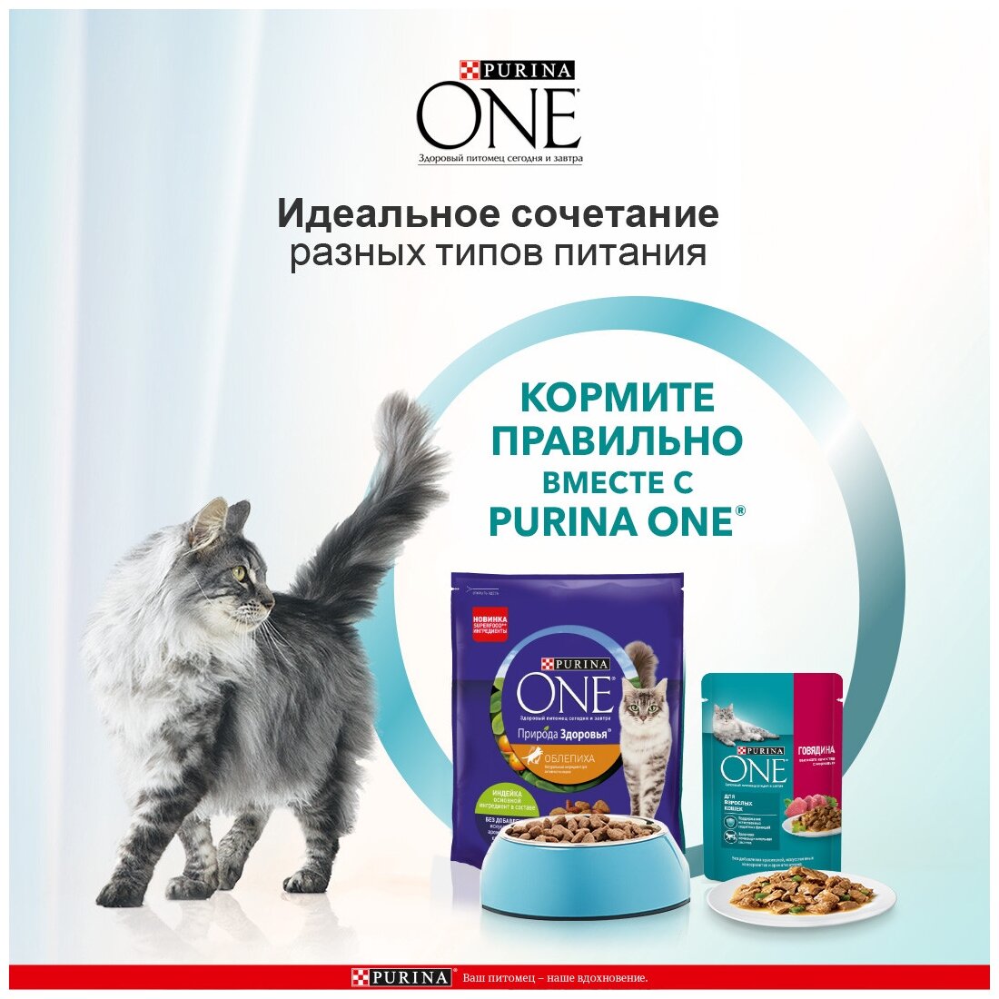Сухой корм Purina ONE® Природа Здоровья для взрослых кошек, с высоким содержанием индейки, 680 г - фотография № 15