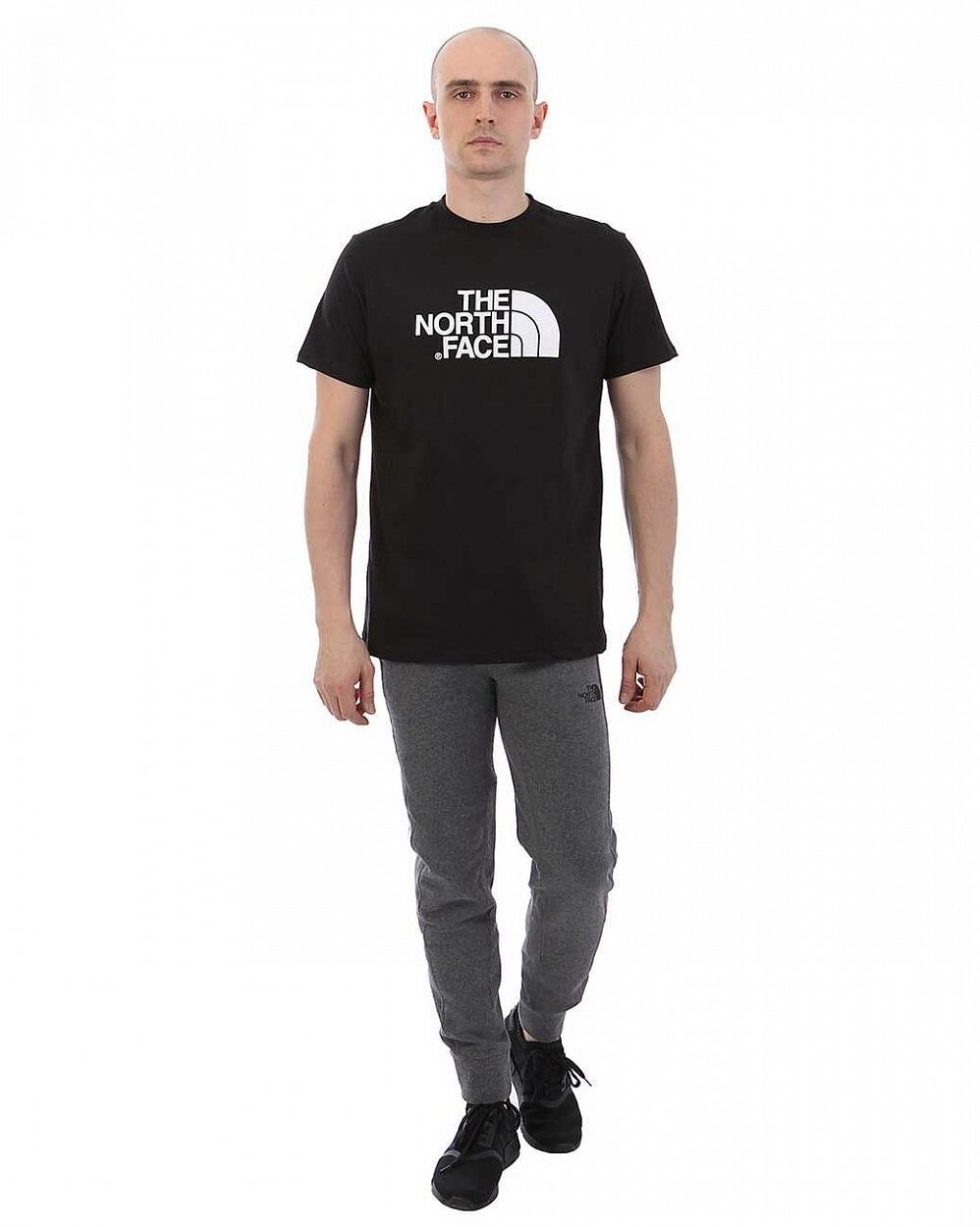 Футболка The North Face, размер L, черный — фото 1