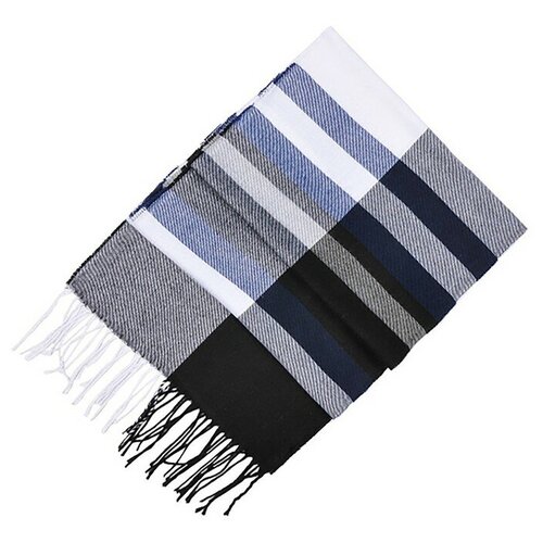 фото Шарф мужской d431_31-4, цвет черный/синий полоска, р-р 31*170, rossini