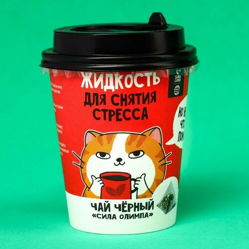 Чай чёрный «Жидкость для снятия стресса» в пирамидке с грецким орехом и корицей, 3 г.