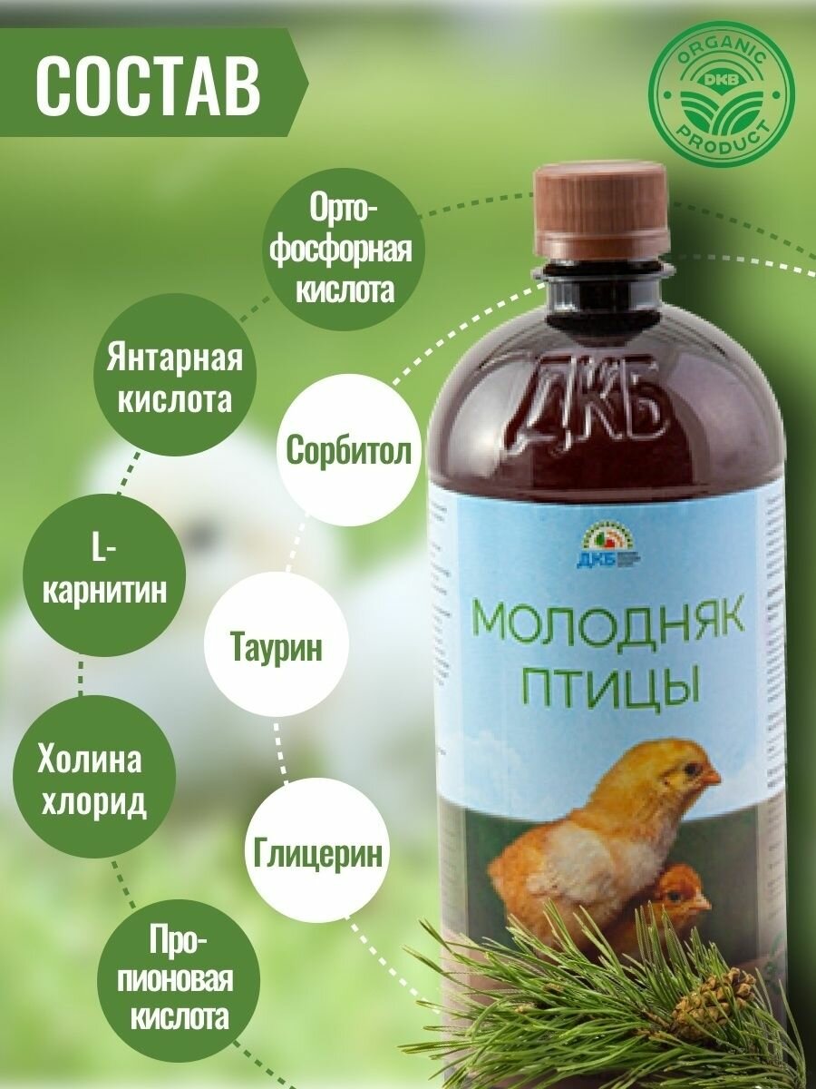 ДКБ витамины кормовые добавки молодняк птицы 0,9л - фотография № 2