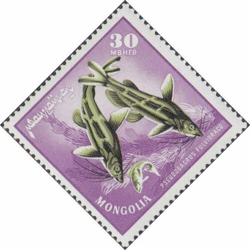 (1965-027) Марка Монголия Касатка-скрипун Речные хищные рыбы III Θ плакат речные рыбы 2165