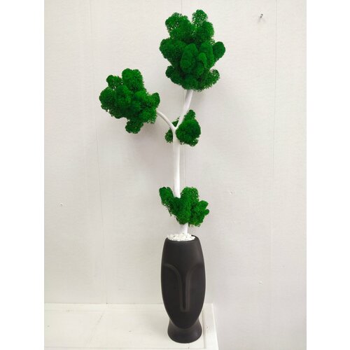 Кашпо с стабилизированным мхом для декора