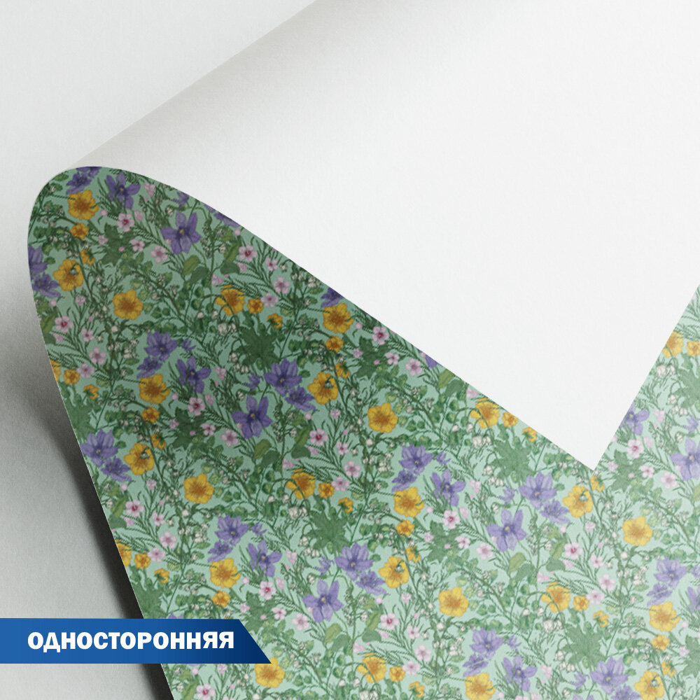 Stilerra WPO-04 односторонняя упаковочная бумага 100 x 70 см 12 цветы