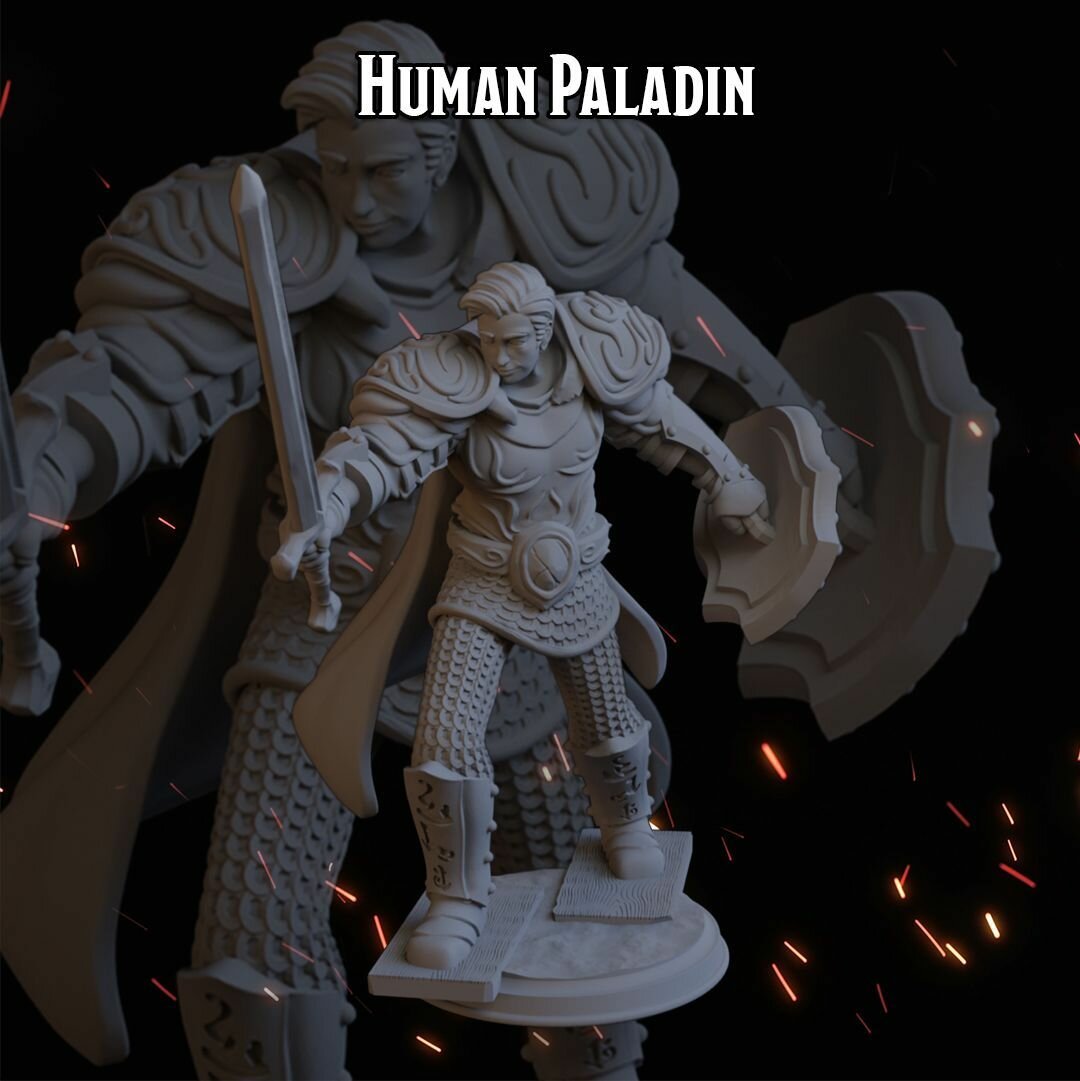 Паладин 49,7мм человек мужчина фигурки/миниатюры (ДнД, DnD, D&D, Dungeons & Dragons, Pathfinder, Подземелья и Драконы, Wargames)