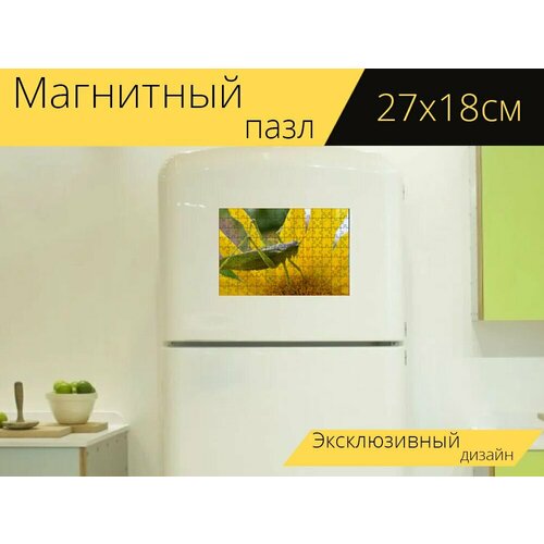Магнитный пазл Макрос, природа, кузнечик на холодильник 27 x 18 см. магнитный пазл одуванчик природа макрос на холодильник 27 x 18 см