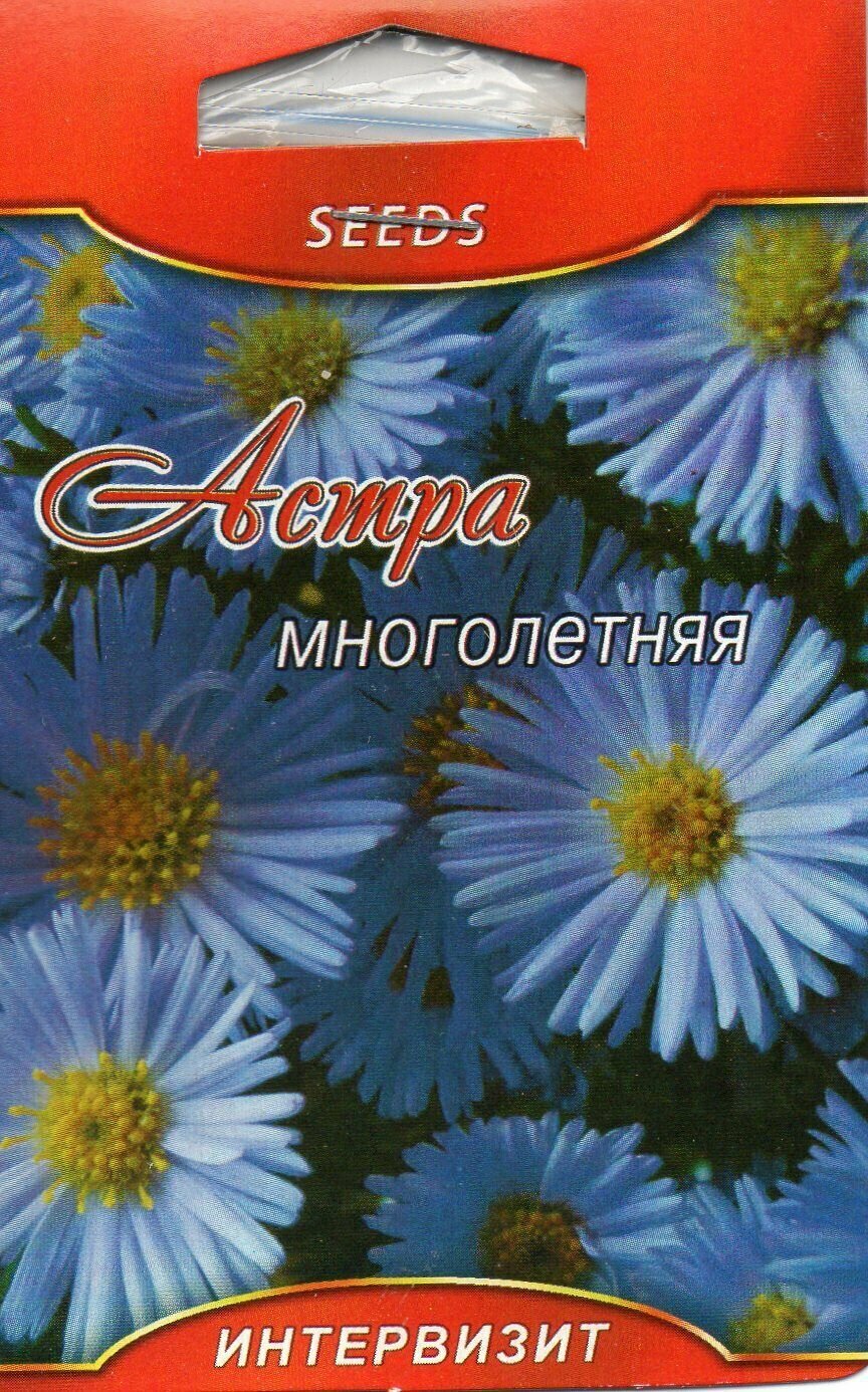 Астра многолетняя(Aster perennis) семена,20 штук