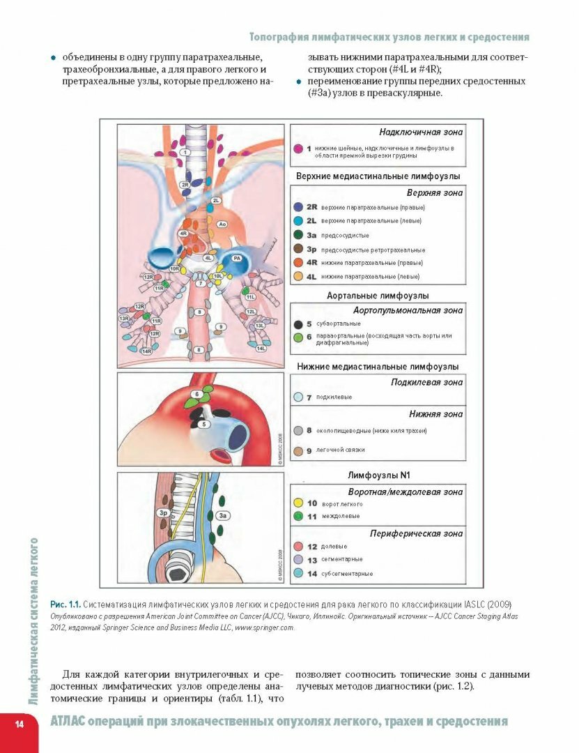 Атлас операций при злокачественных опухолях легкого, трахеи и средостения - фото №9